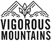 VIGOROUS MOUNTAINS