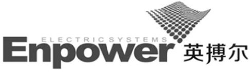ELECTRIC SYSTEMS ENPOWER