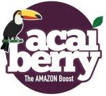 ACAI BERRY THE AMAZON BOOST