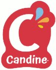 C CANDINE
