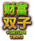 FORTUNE TWINS