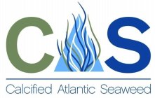 CAS CALCIFIED ATLANTIC SEAWEED