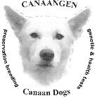 CANAANGEN CANAAN DOGS PRESERVATION BREEDING GENETIC & HEALTH TESTS