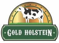 ·GOLD HOLSTEIN·