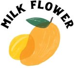 MILK FLOWER