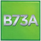 B73A