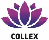 COLLEX