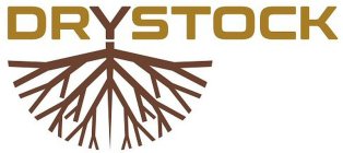 DRYSTOCK