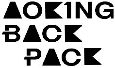 AOKING BACK PACK