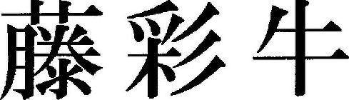 Image Trademark