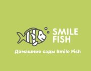 SMILE FISH