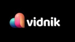 VIDNIK