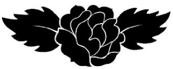 Image Trademark