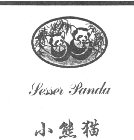 LESSER PANDA
