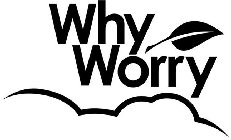 WHY WORRY