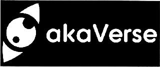 AKAVERSE