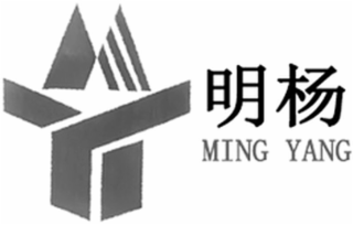 MING YANG