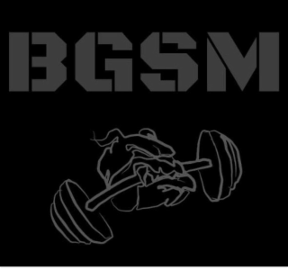BGSM