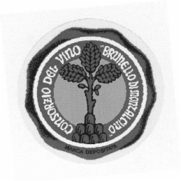 CONSORZIO DEL VINO