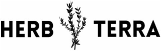 HERB TERRA