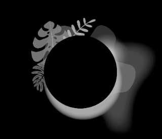 Image Trademark
