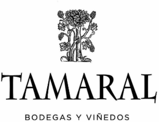 TAMARAL BODEGAS Y VIÃEDOS
