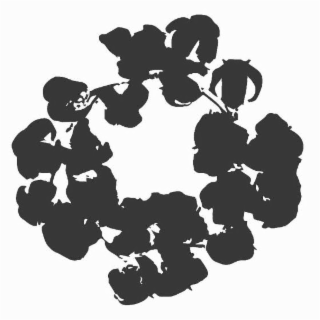Image Trademark