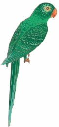 Image Trademark
