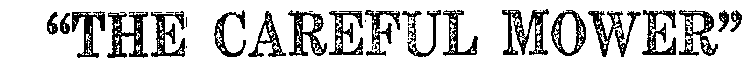 Image Trademark