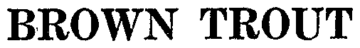 Image Trademark