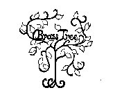 THE BRASS TREE