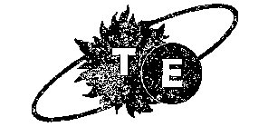 TE