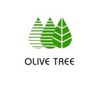 OLIVE TREE