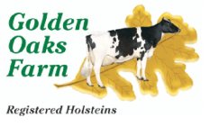 GOLDEN OAKS FARM REGISTERED HOLSTEINS