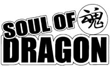 SOUL OF DRAGON