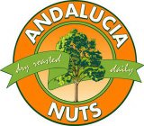ANDALUCIA NUTS DRY ROASTED DAILY