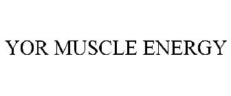 YOR MUSCLE ENERGY