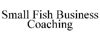 SMALL FISH BUSINESS COACHING