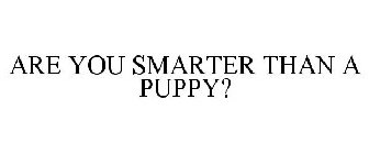 ARE YOU SMARTER THAN A PUPPY?