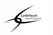 LINKVISUM CONSULTING GROUP
