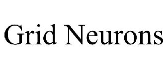 GRID NEURONS