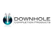 DOWNHOLE COMPLETION PRODUCTS