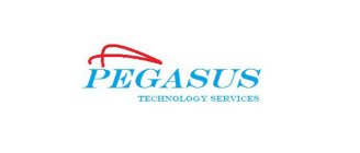 PEGASUS TECHNOLOGY SERVICES