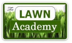 THE LAWN ACADEMY