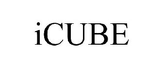 ICUBE