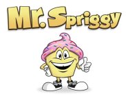 MR. SPRIGGY