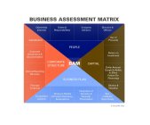 BUSINESS ASSESSMENT MATRIX (BAM) PEOPLE CAPITAL BUSINESS PLAN CORPORATE STRUCTURE OWNERSHIP INTERESTS DUTIES & RESPONSIBILITIES COMPANY ADVISORS DIRECTORS & OFFICERS USE OF PROCEEDS RETURN ON INVESTME