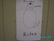 PUSSY RULES MEOW