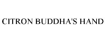 BUDDHA'S HAND CITRON