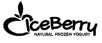 ICEBERRY NATURAL FROZEN YOGURT